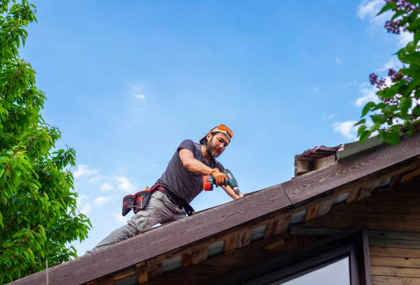 Best Steel Roofing  in Maple Heights Lake Desire, WA